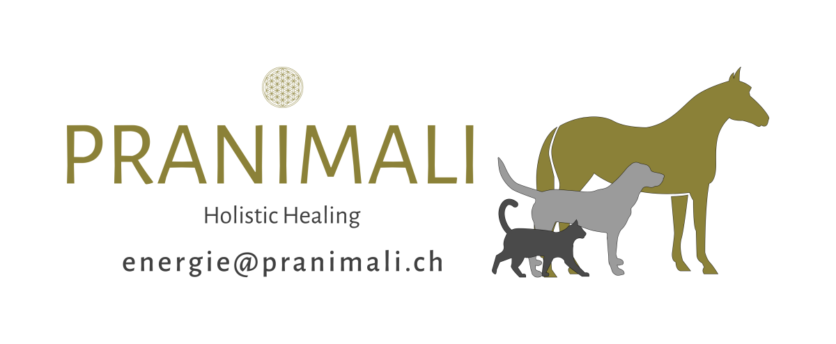 PRANIMALI - Holistic Healing